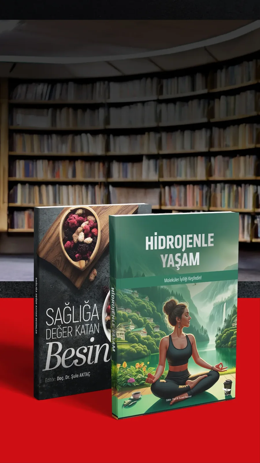VISBODY hediye kitapları
